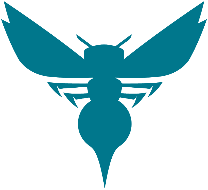Charlotte Hornets 2014-Pres Alternate Logo v3 DIY iron on transfer (heat transfer) Charlotte Hornets 2014-Pres Alternate Logo v3 DIY iron on transfer (heat transfer)